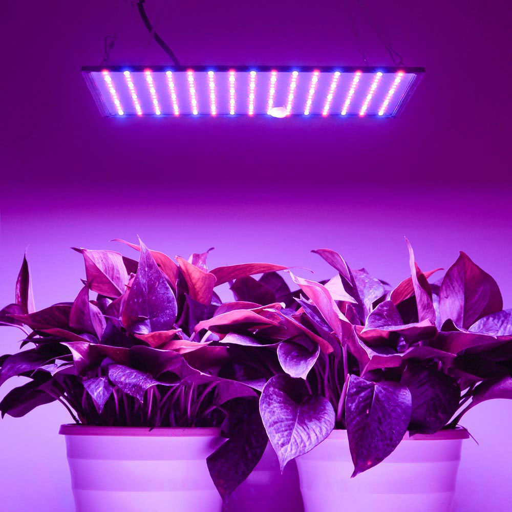 225 Ultrathin Blue Red Lamp LED Plant Grow Light Panel | Lumimuse