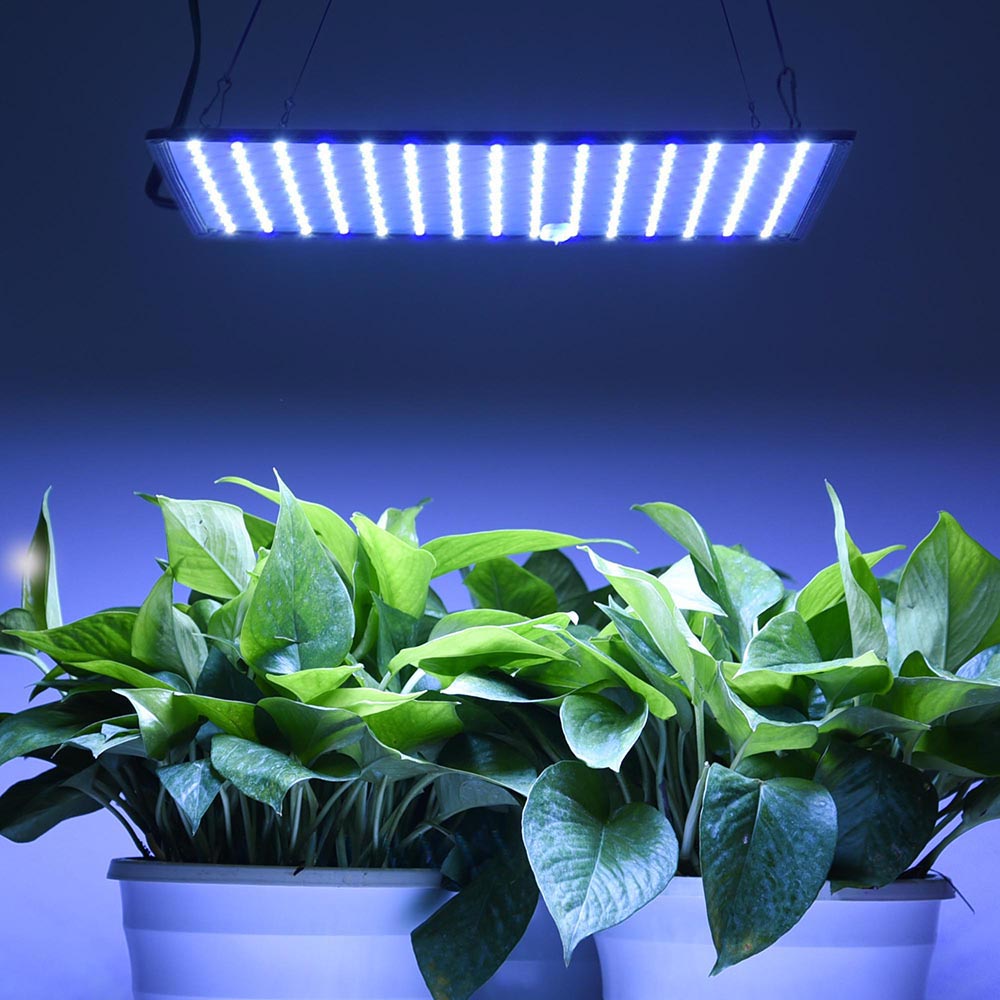 225 Ultrathin Blue White LED Plant Grow Light Panel| Lumimuse 