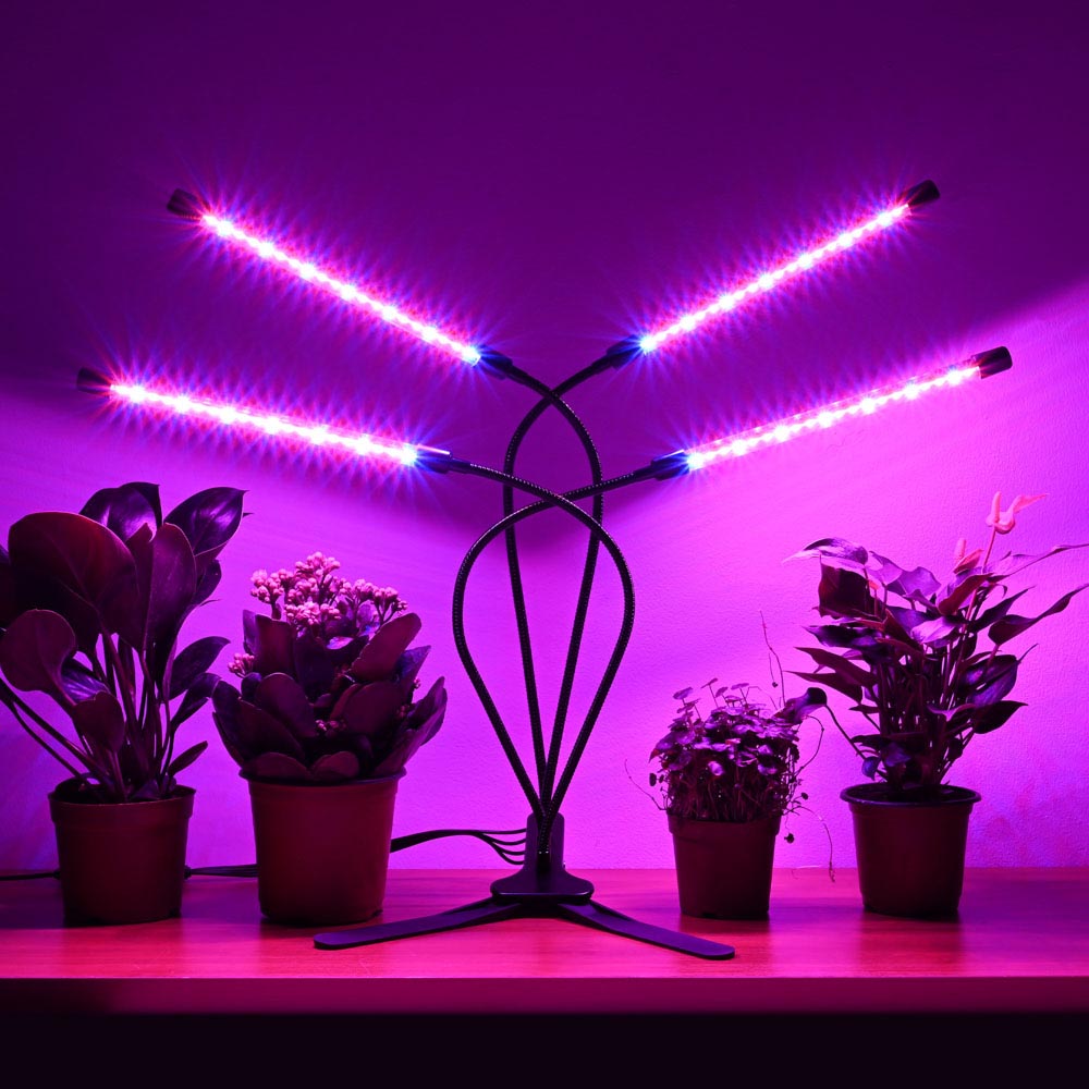 40W Full Spectrum Grow Light for Indoor Plants with Timer, Clip-on by Lumimuse