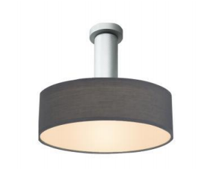 Modern LED Ceiling Light Fixture - DC-R270