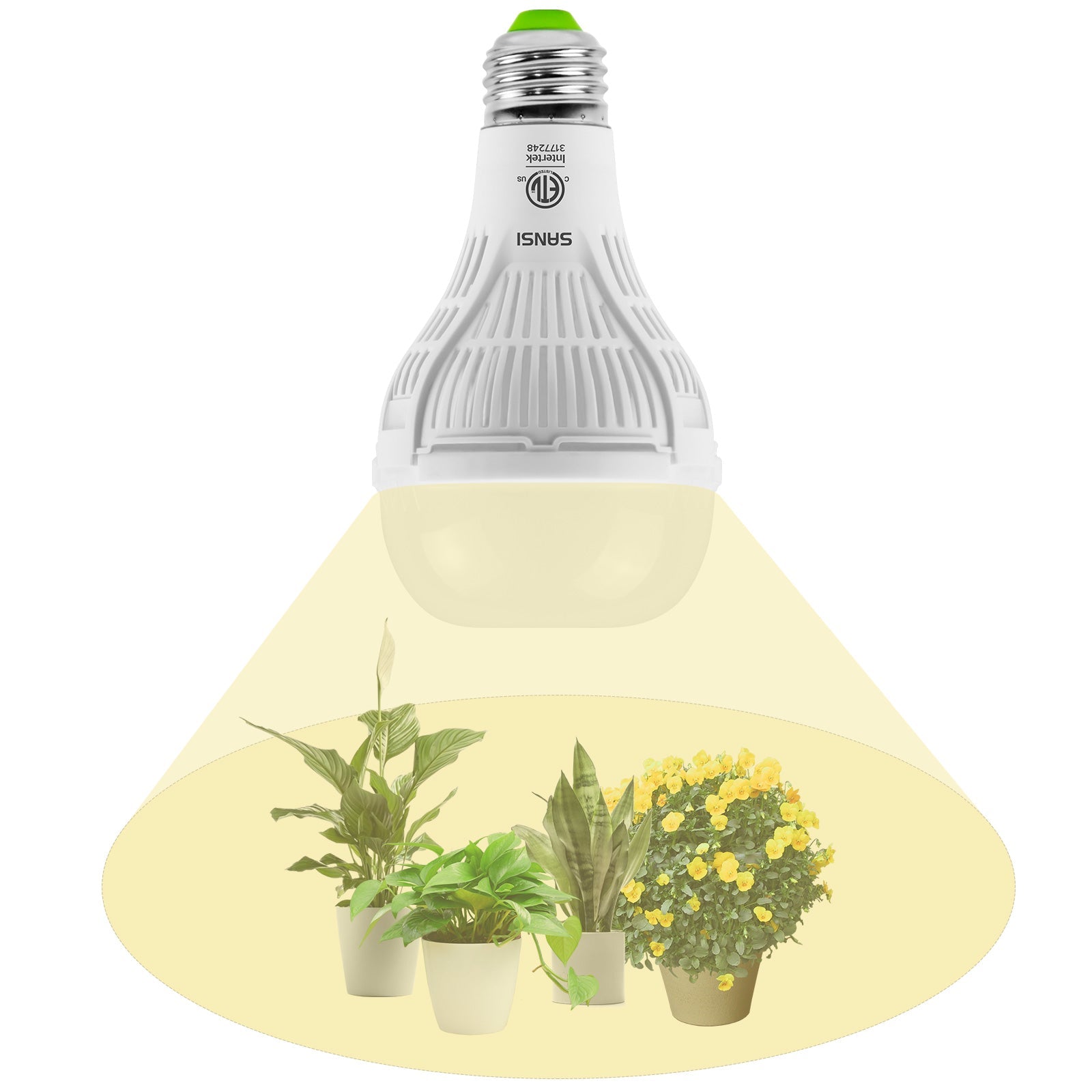 A21 15W LED Grow Light Bulb | LumiMuse