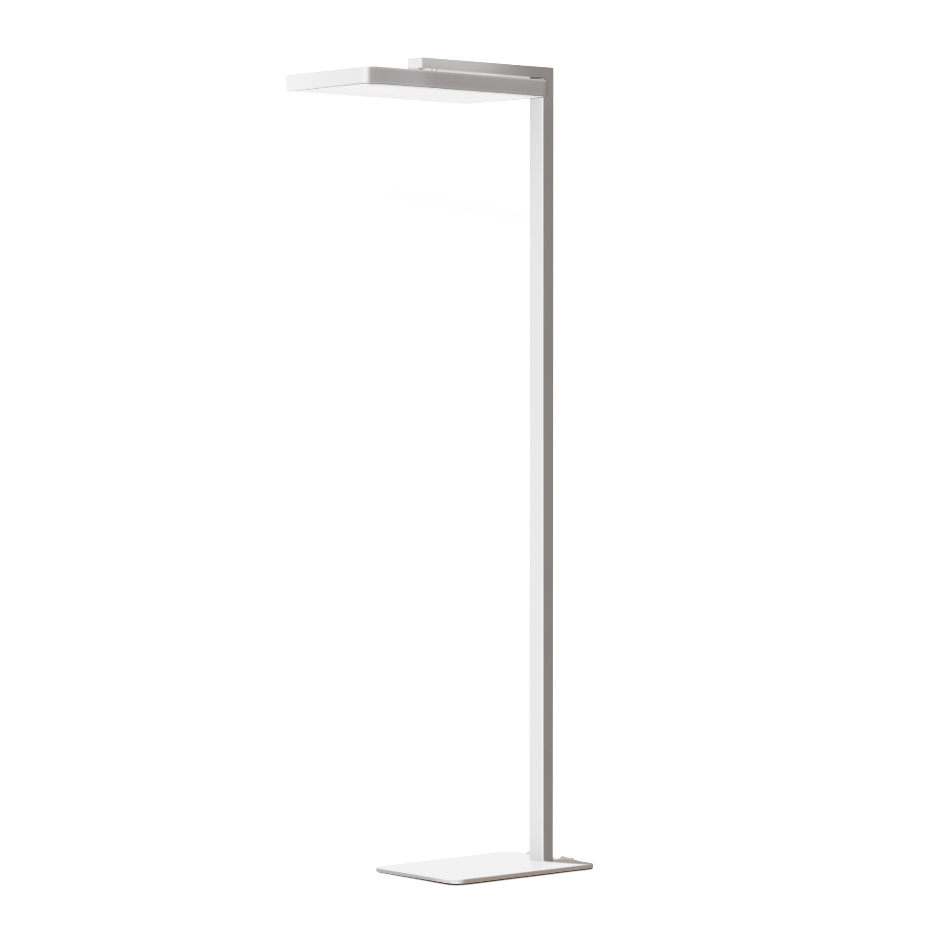 Lumimuse Floor Task Lamp