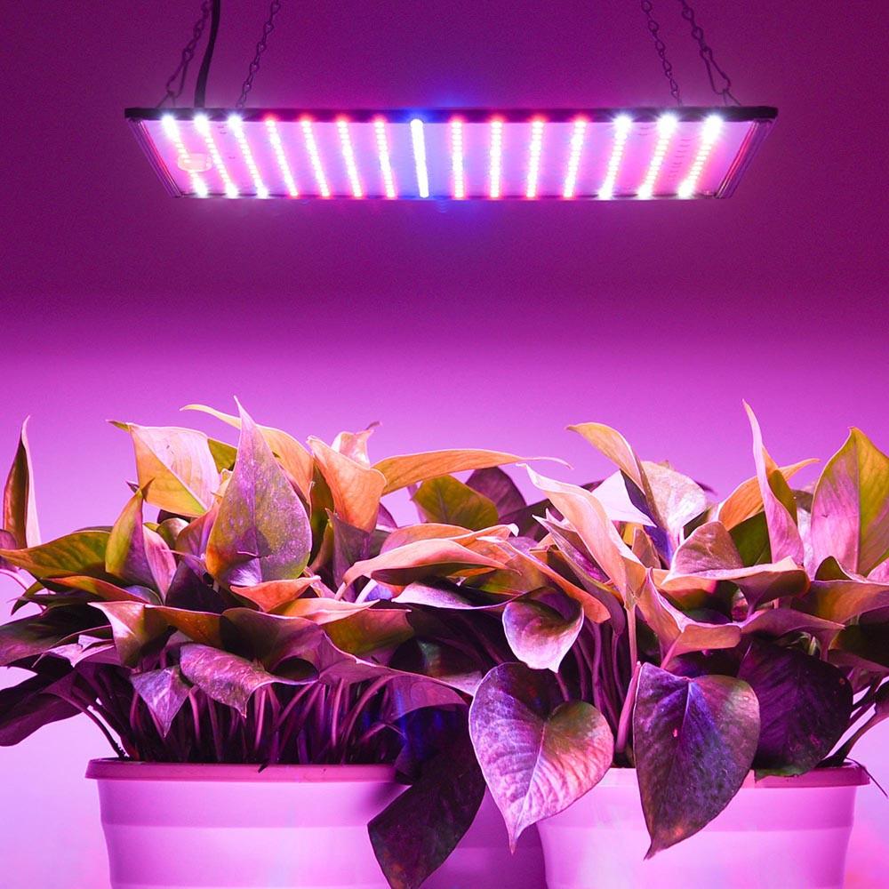 225 Ultrathin Blue Red Orange White LED Plant Grow Light Panel | Lumimuse