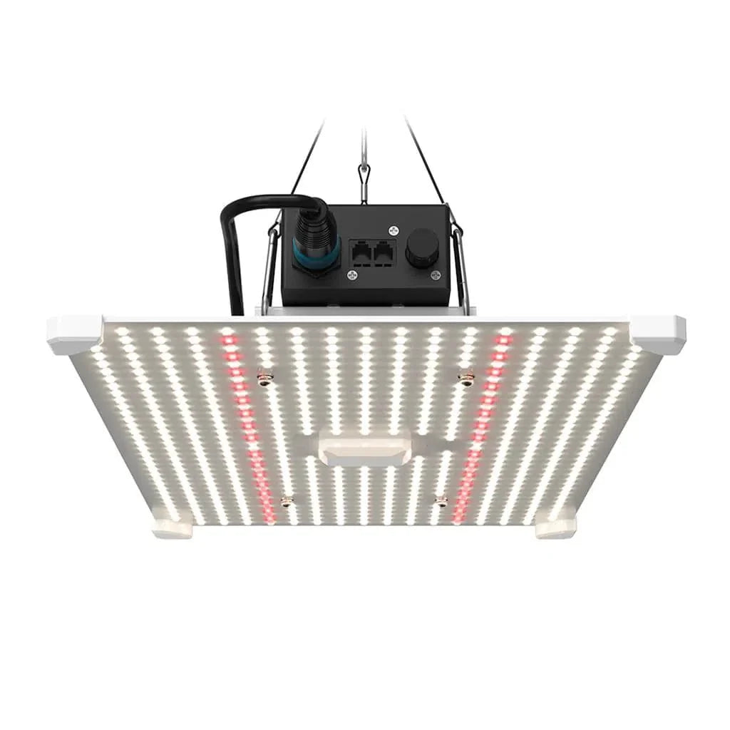 Lumii Black Blade LED - 200w Grow Light