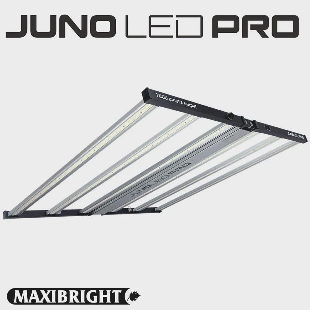 Lumimuse Juno 720w LED Grow Light