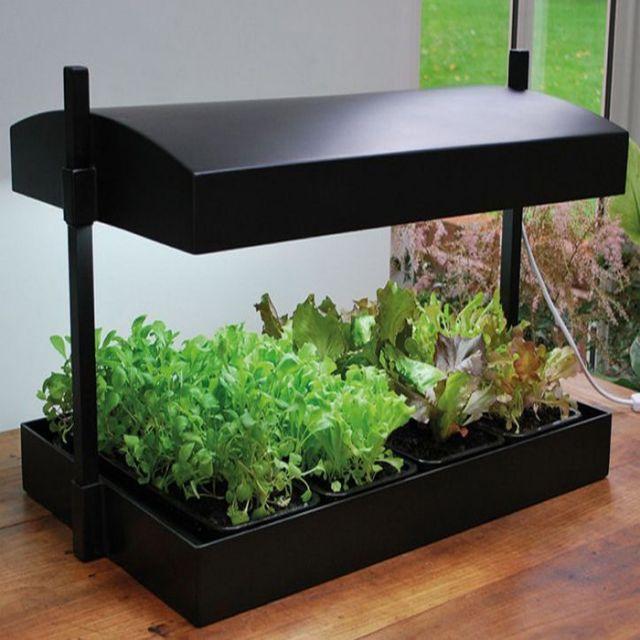 Lumimuse Grow Light Garden - Black 48w